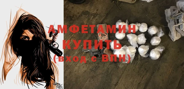 твердый Арсеньев