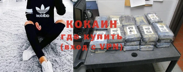 трава Аркадак